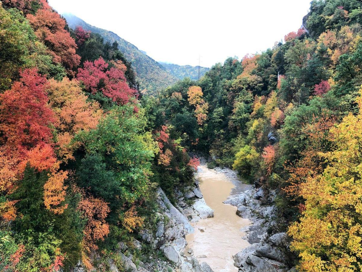Masia Cap Del Roc Vallcebre Zewnętrze zdjęcie